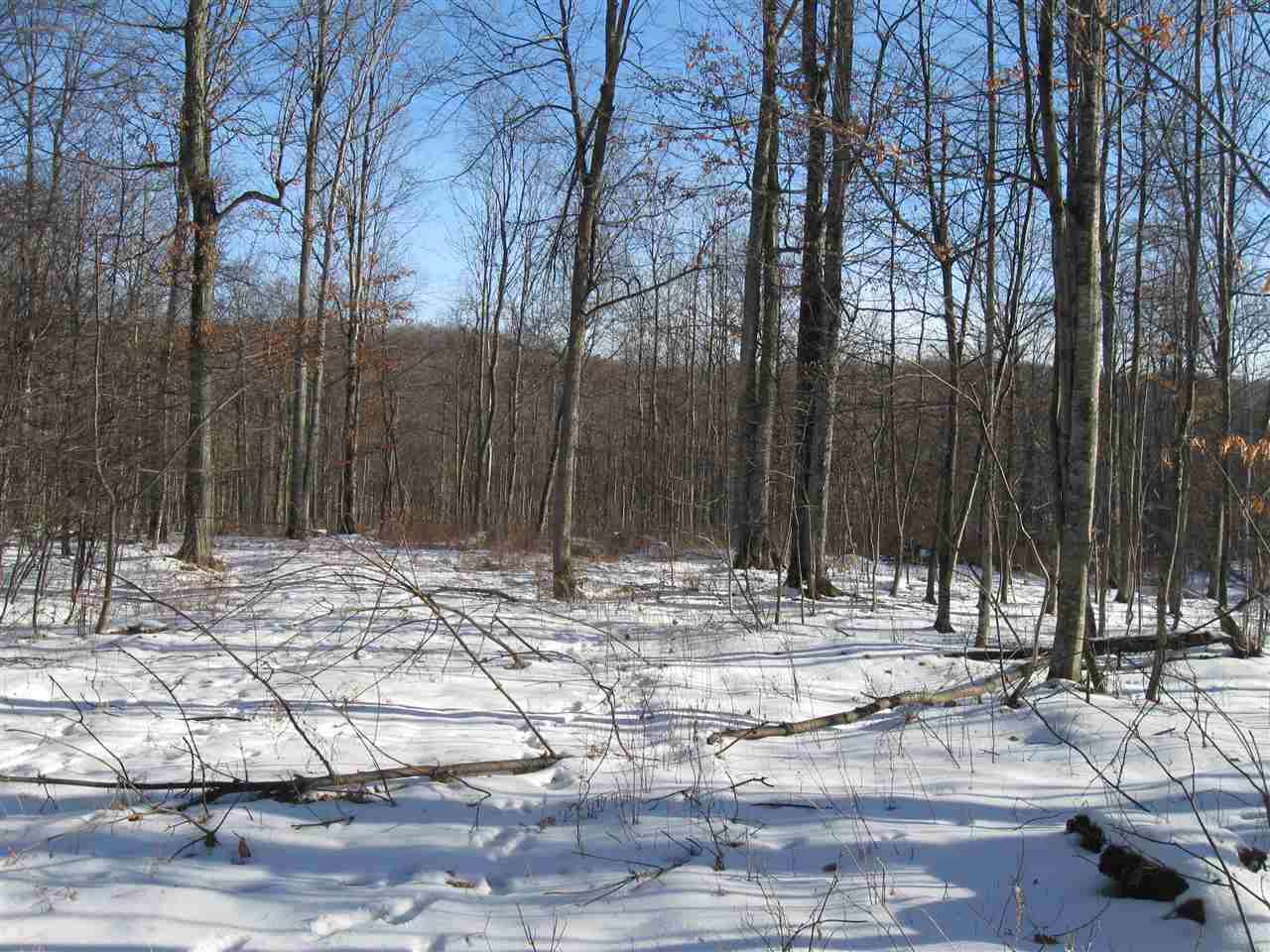 12813 South Kitlinger Road Empire, MI 49630 - Photo 5 of 18 1857528-4.JPG