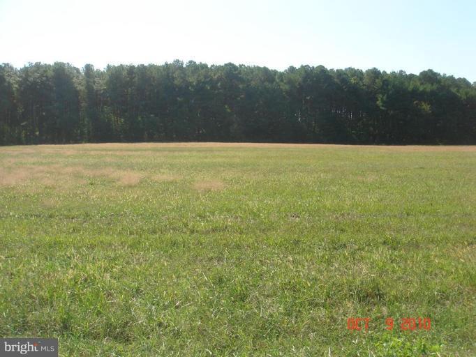 4 Elliott Island Road Vienna, MD 21869 - Photo 1 of 1 a view of an outdoor space and a yard