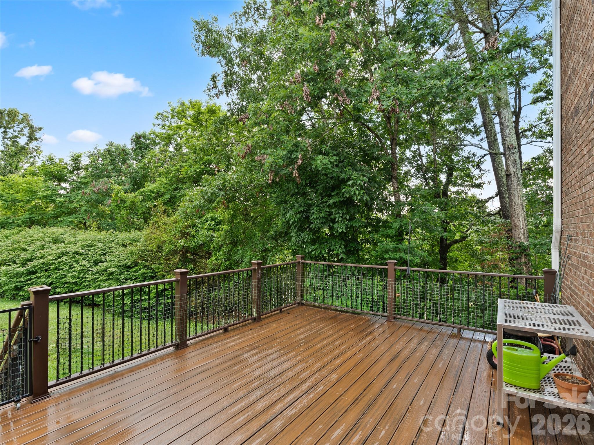 40 Hope Road Weaverville, NC 28787 - Photo 39 of 46
