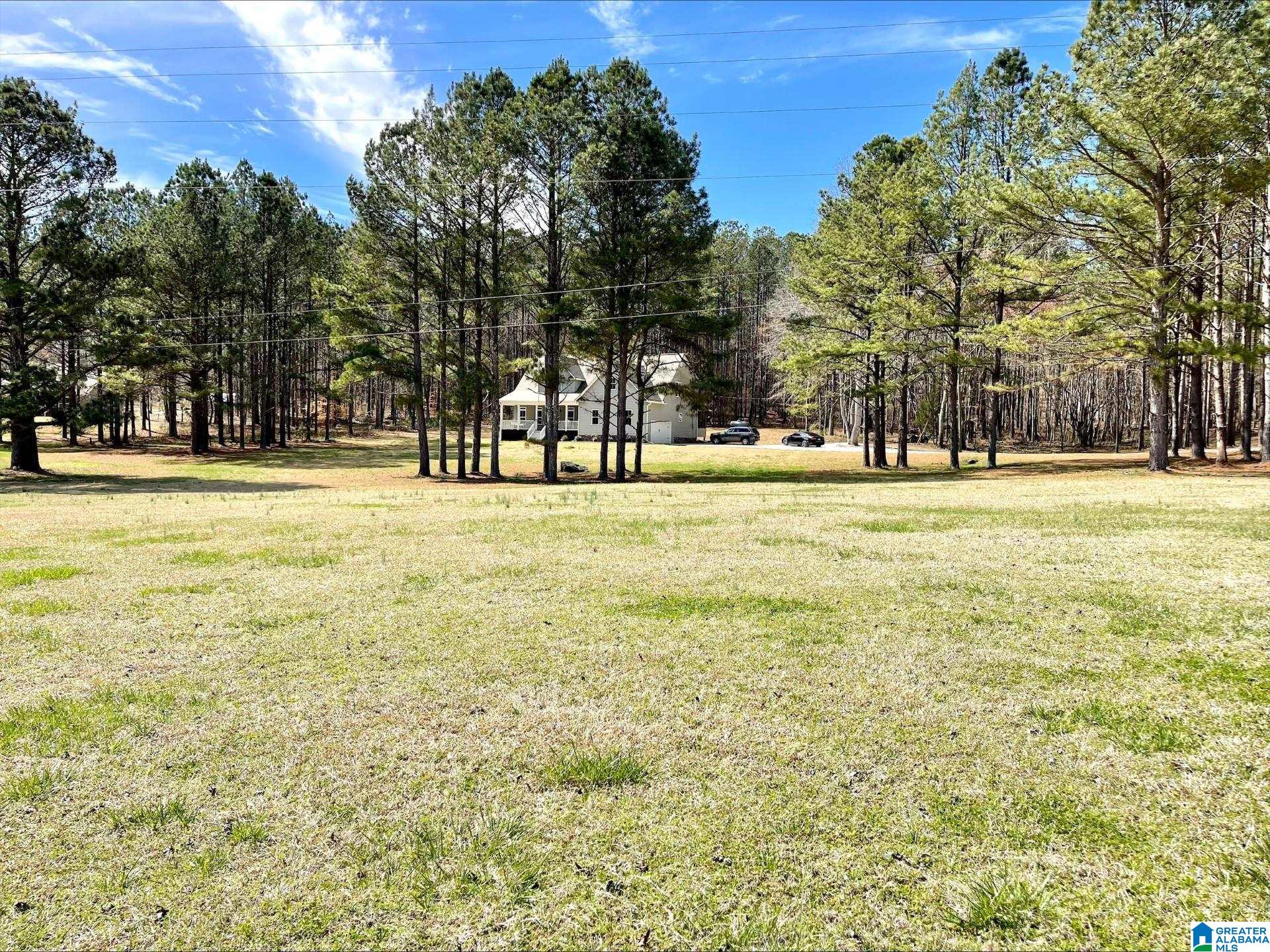 55 County Road 928 Delta, AL 36258 - Photo 27 of 28