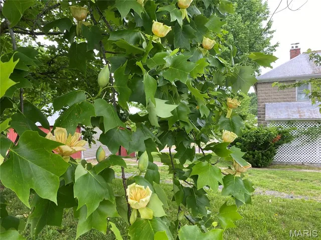 $539,900 | 405 West 18th Street, Hermann, MO 65041