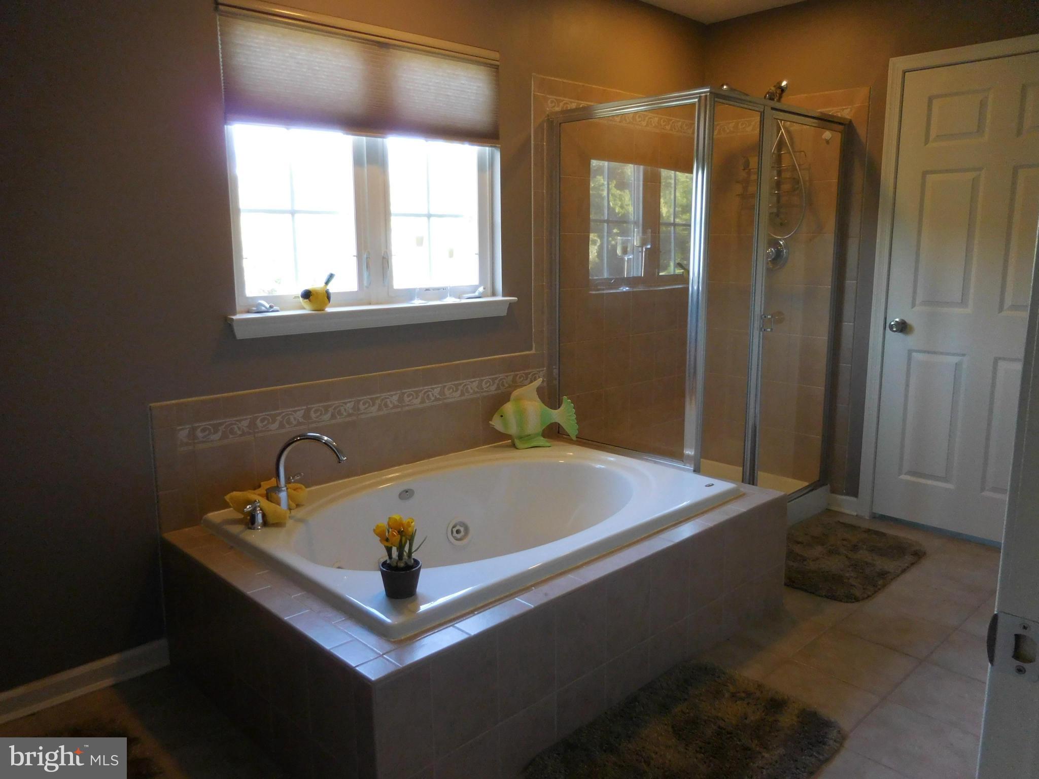 4922 Forge Road Perry Hall, MD 21128 - Photo 17 of 30 Bath (Master)