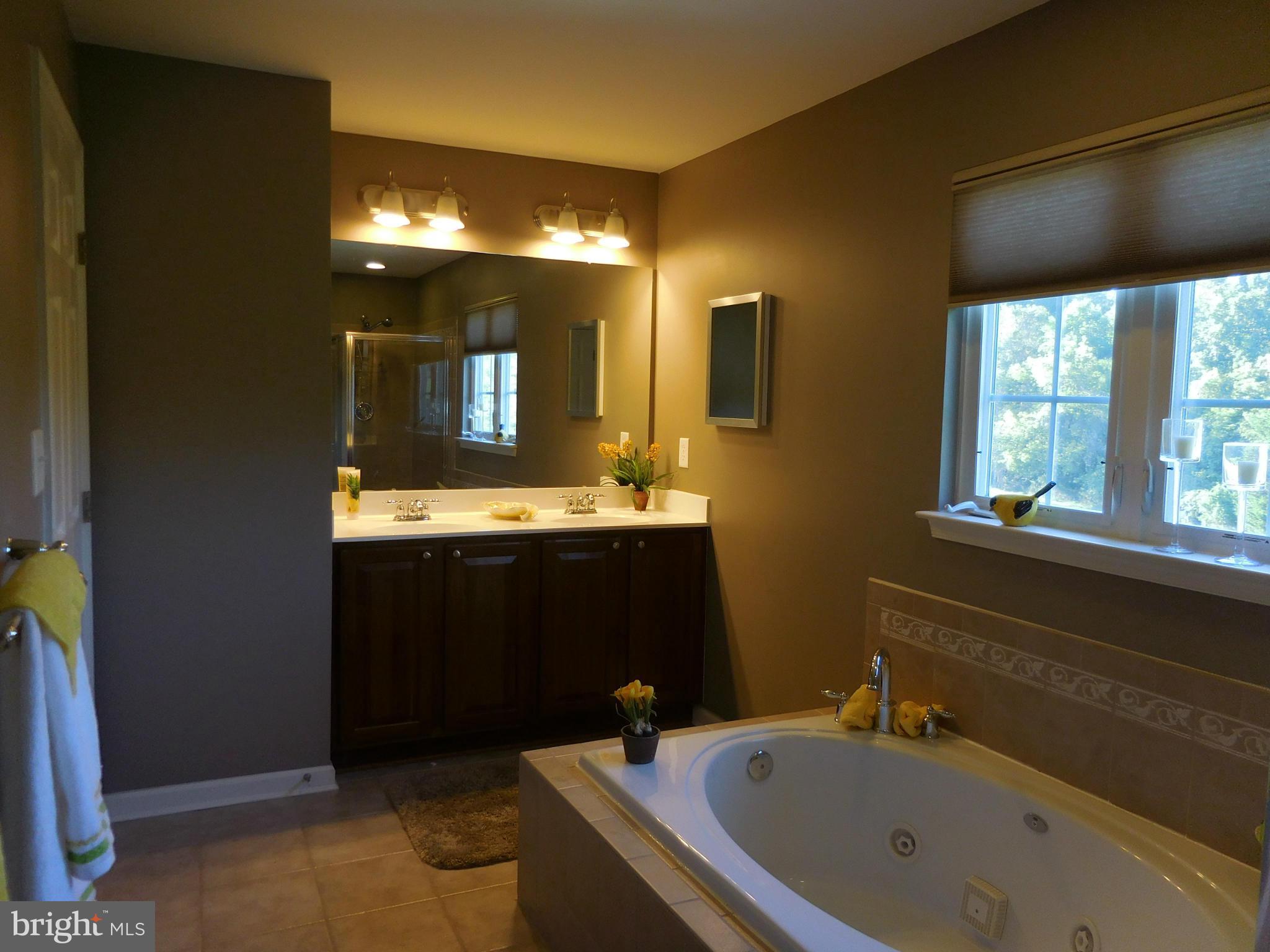 4922 Forge Road Perry Hall, MD 21128 - Photo 18 of 30 Bath (Master)