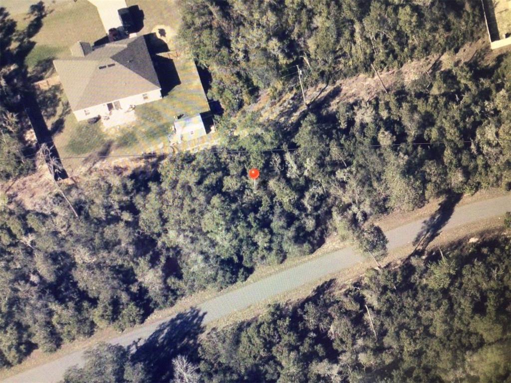 0 Southwest 37th Circle Ocala, FL 34472 - Photo 5 of 5 a view of the trees