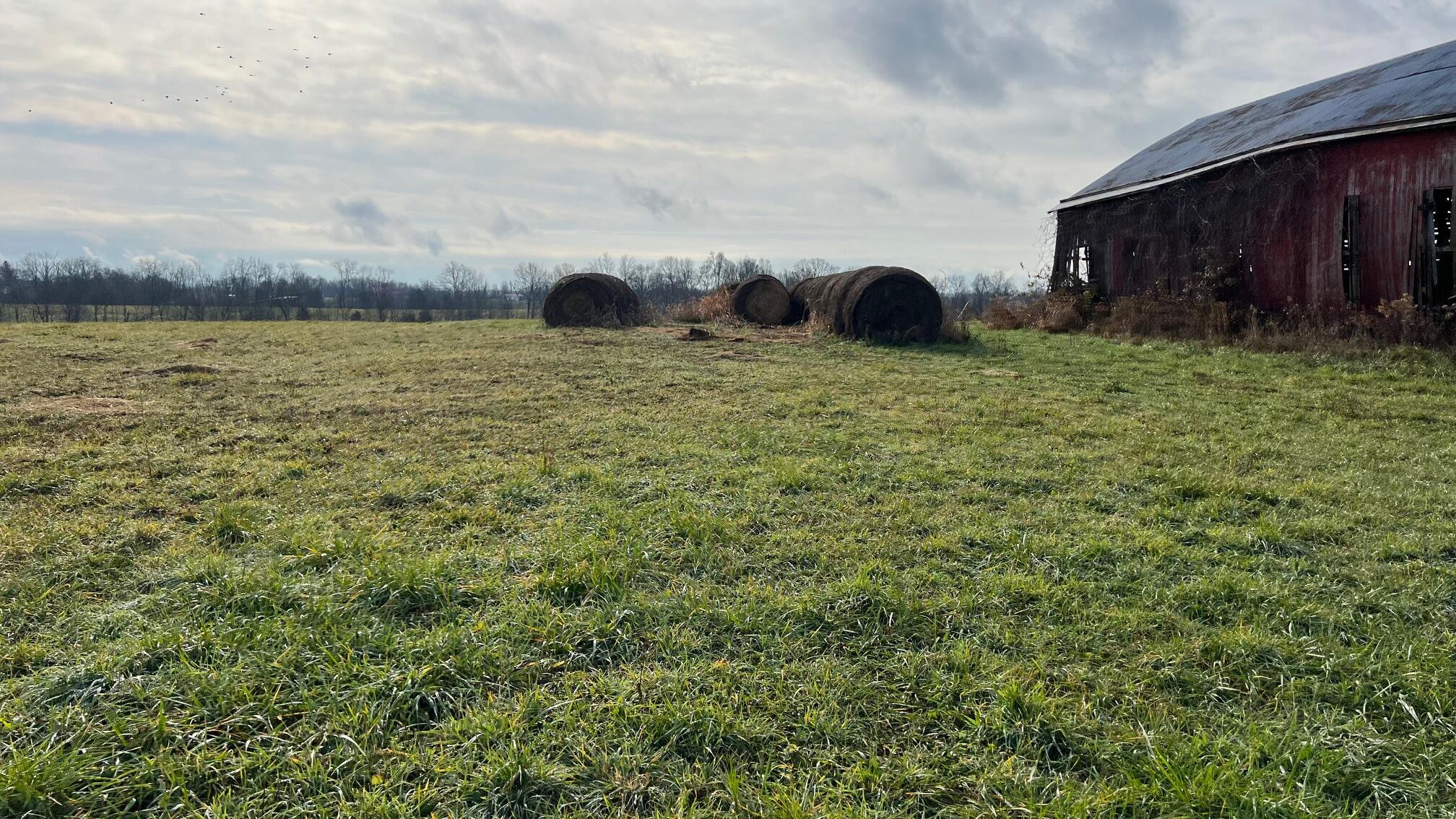 360-5 Mulligan Road Dry Ridge, KY 41035 - Photo 15 of 19