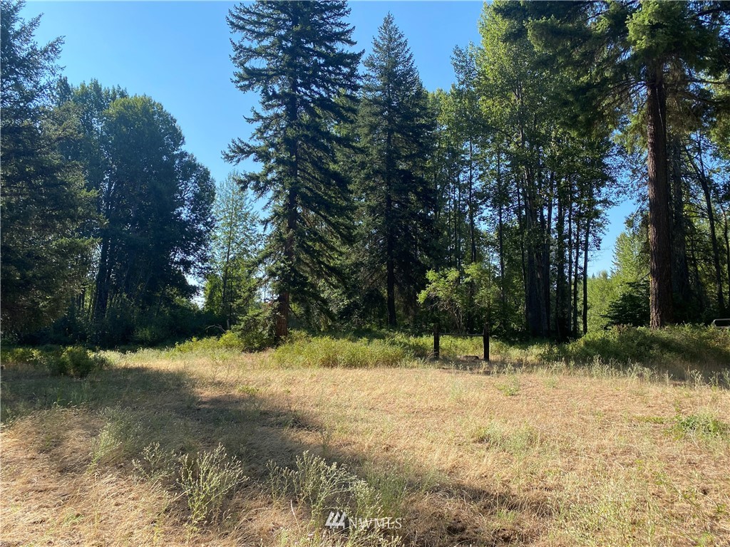 2131 Teanaway Middle Fork Road Cle Elum, WA 98922 - Photo 13 of 19 Gallery Image 13