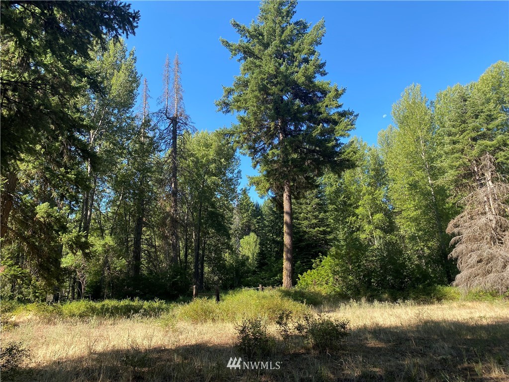 2131 Teanaway Middle Fork Road Cle Elum, WA 98922 - Photo 14 of 19 Gallery Image 14