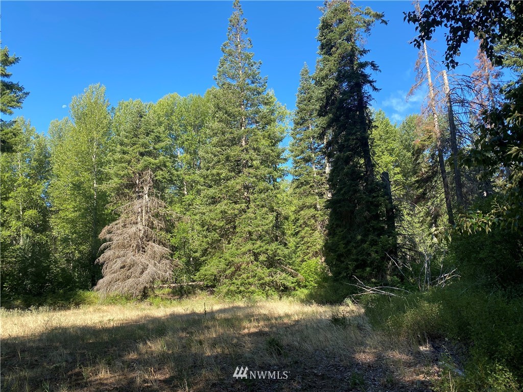 2131 Teanaway Middle Fork Road Cle Elum, WA 98922 - Photo 15 of 19 Gallery Image 15