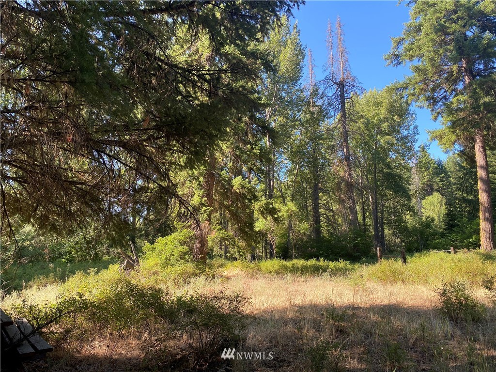 2131 Teanaway Middle Fork Road Cle Elum, WA 98922 - Photo 16 of 19 Gallery Image 16