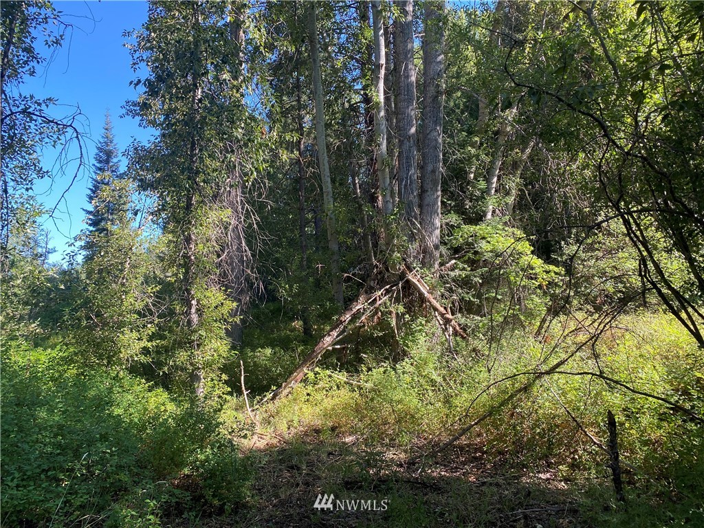2131 Teanaway Middle Fork Road Cle Elum, WA 98922 - Photo 17 of 19 Gallery Image 17