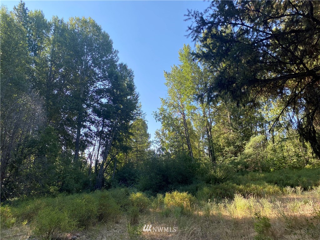 2131 Teanaway Middle Fork Road Cle Elum, WA 98922 - Photo 18 of 19 Gallery Image 18