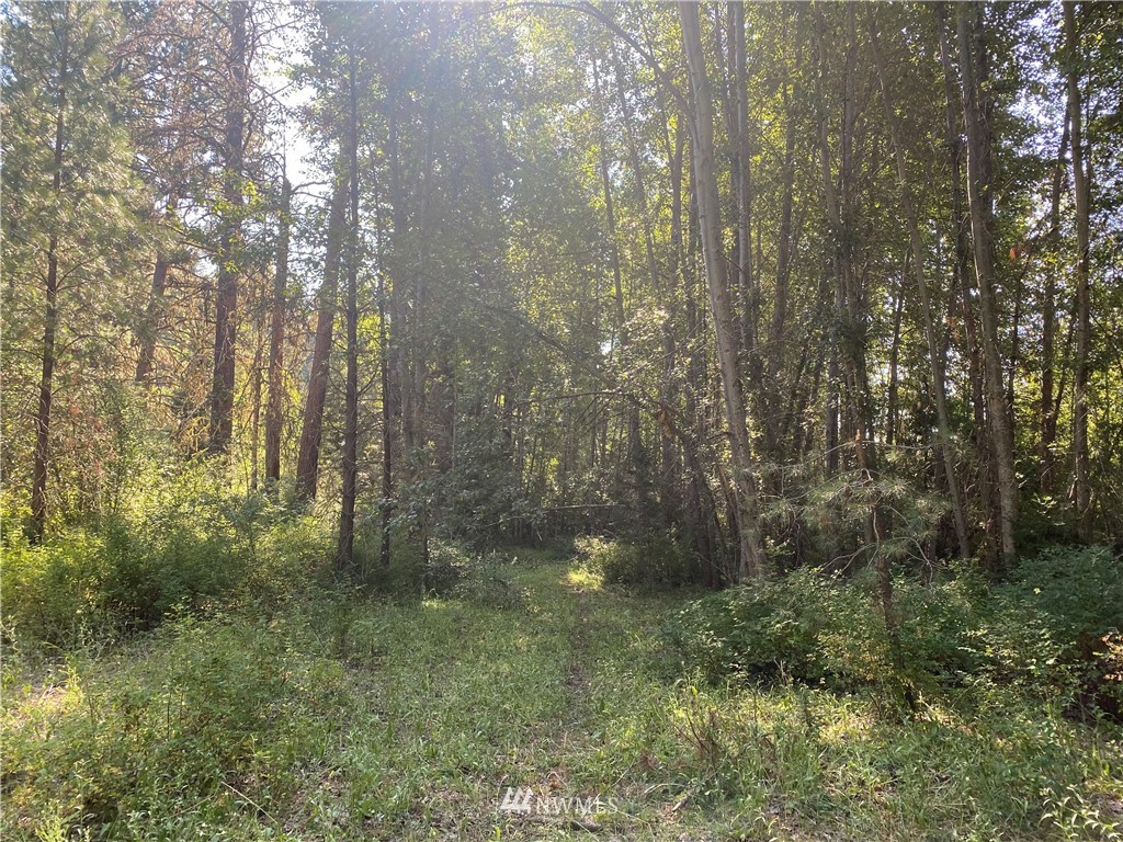 2131 Teanaway Middle Fork Road Cle Elum, WA 98922 - Photo 19 of 19 Gallery Image 19