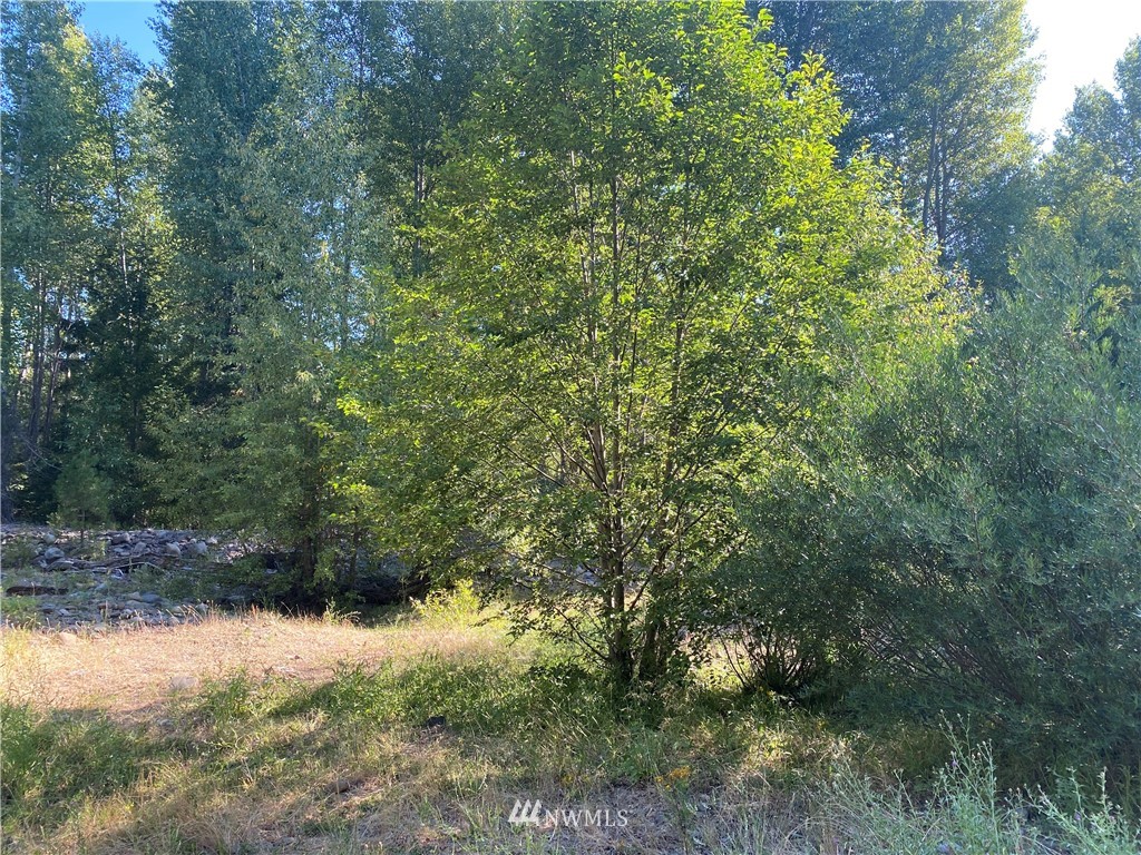 2131 Teanaway Middle Fork Road Cle Elum, WA 98922 - Photo 4 of 19 Gallery Image 4