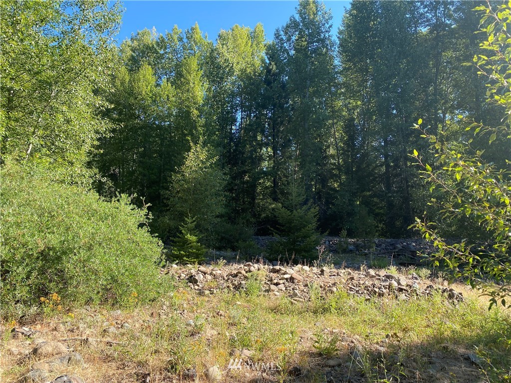 2131 Teanaway Middle Fork Road Cle Elum, WA 98922 - Photo 5 of 19 Gallery Image 5
