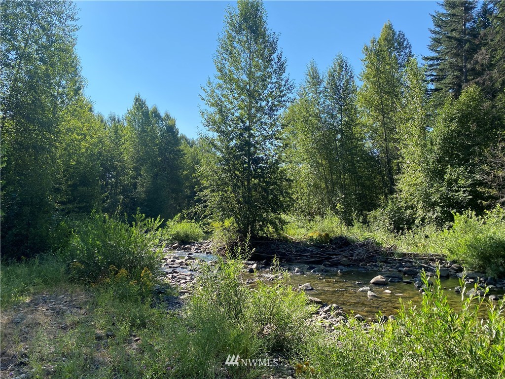 2131 Teanaway Middle Fork Road Cle Elum, WA 98922 - Photo 6 of 19 Gallery Image 6