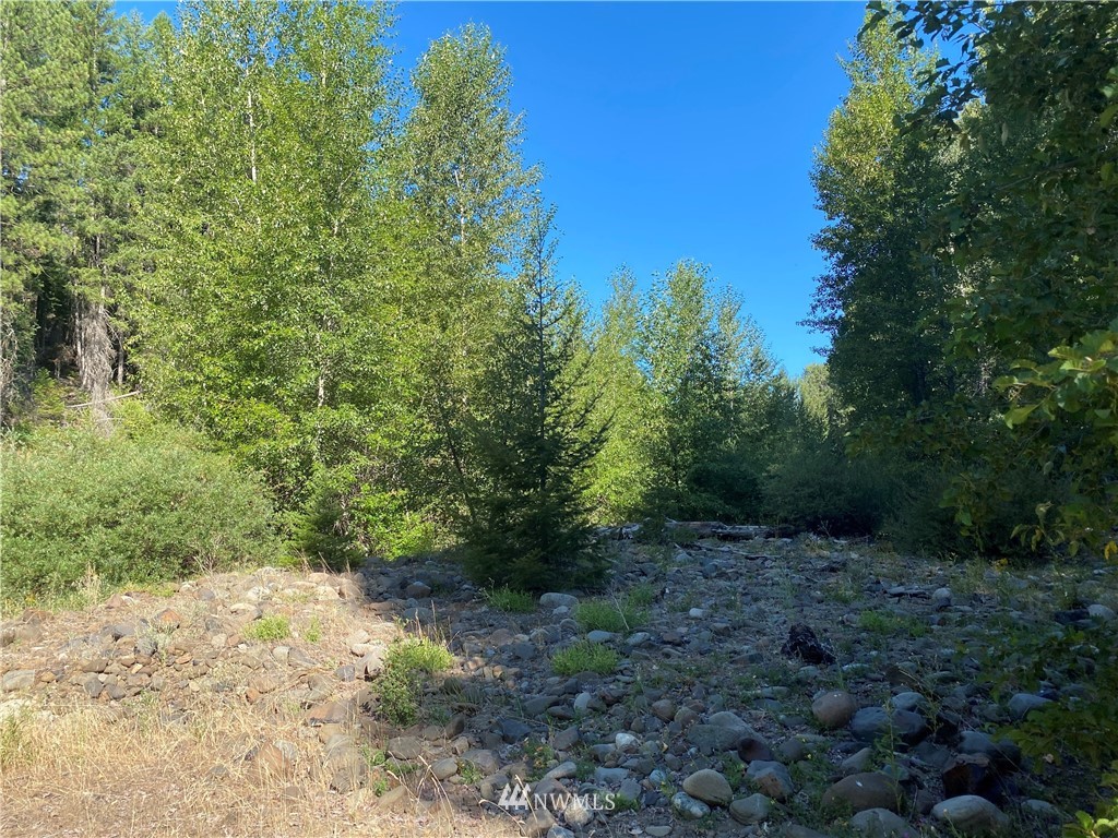 2131 Teanaway Middle Fork Road Cle Elum, WA 98922 - Photo 7 of 19 Gallery Image 7