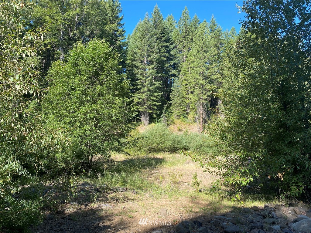 2131 Teanaway Middle Fork Road Cle Elum, WA 98922 - Photo 8 of 19 Gallery Image 8