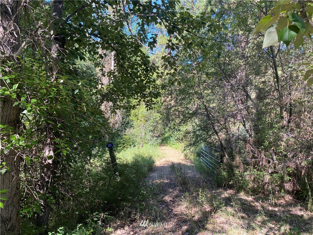 2131 Teanaway Middle Fork Road Cle Elum, WA 98922 - Photo 10 of 19 Gallery Image 10