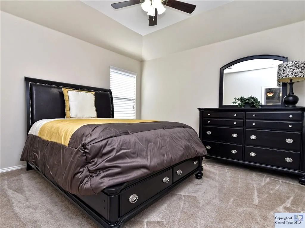 3029 Jacob Lane San Marcos, TX 78666 - Photo 14 of 24 a bedroom with a bed and a mirror