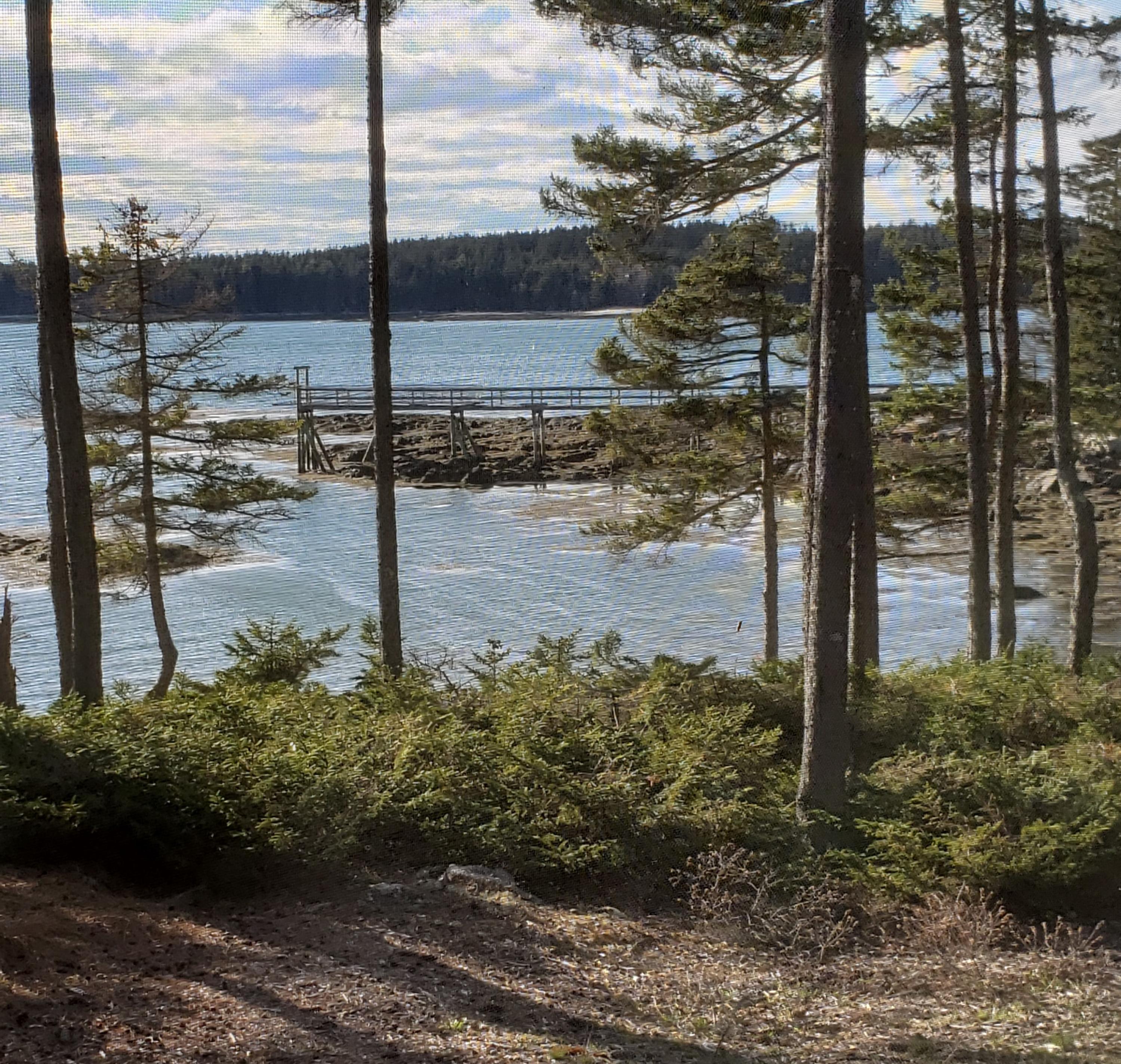 143 Eby Road Friendship, ME 04547 - Photo 28 of 63 Looking noth west from porch