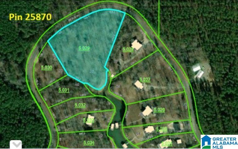 Lot 38 Sipsey Pines Road, Unit 38 Arley, AL 35541 - Photo 3 of 4