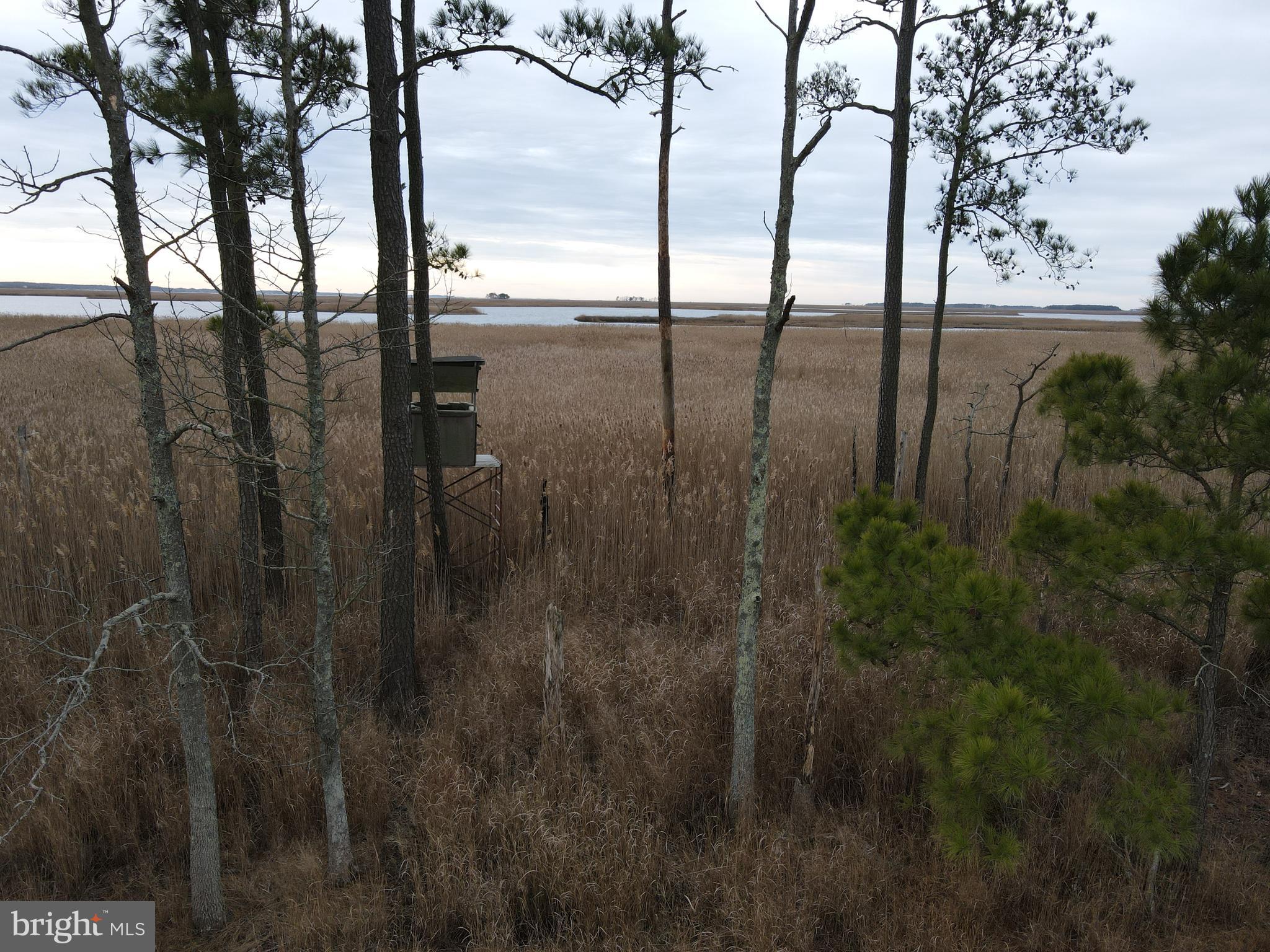3135 Elliott Island Road Vienna, MD 21869 - Photo 29 of 112 Gallery Image 29