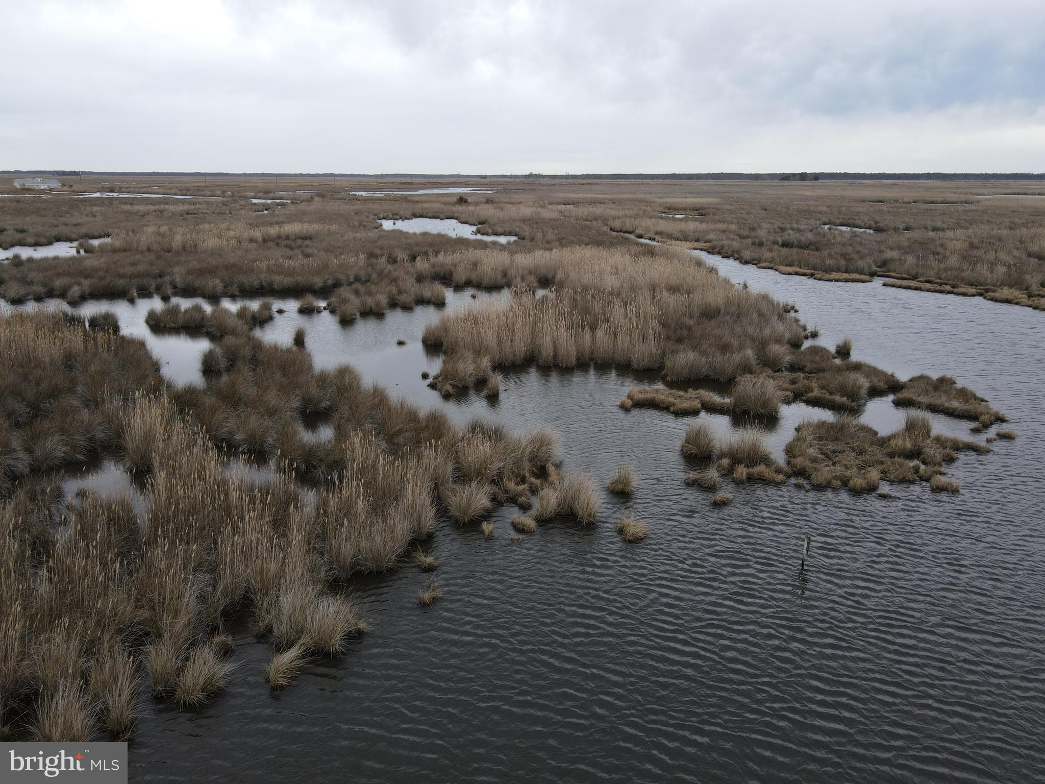 3135 Elliott Island Road Vienna, MD 21869 - Photo 3 of 112 Gallery Image 3
