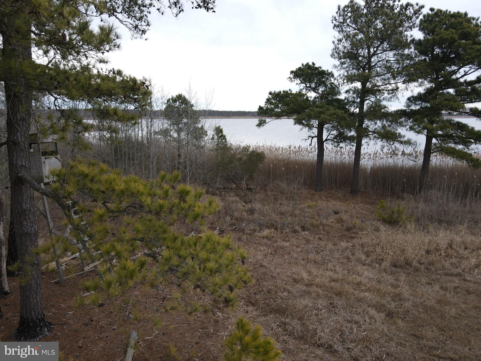 3135 Elliott Island Road Vienna, MD 21869 - Photo 33 of 112 Gallery Image 33