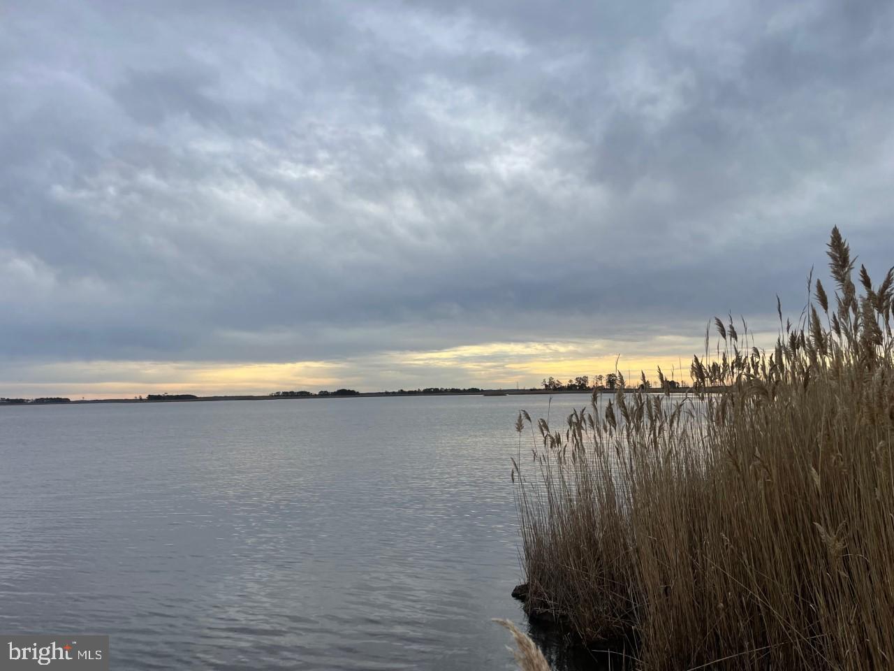 3135 Elliott Island Road Vienna, MD 21869 - Photo 62 of 112 Gallery Image 62