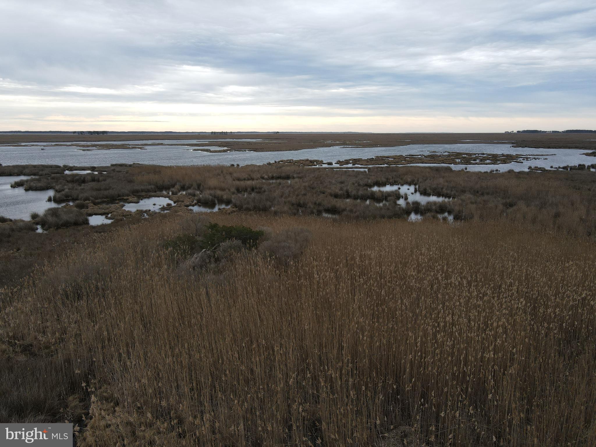 3135 Elliott Island Road Vienna, MD 21869 - Photo 7 of 112 Gallery Image 7