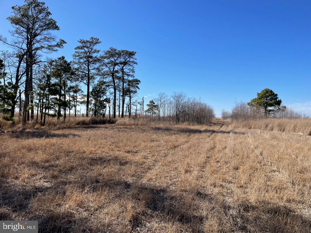 3135 Elliott Island Road Vienna, MD 21869 - Photo 93 of 112 Gallery Image 93