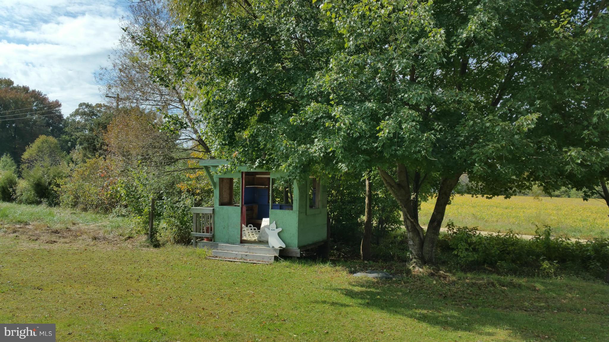 10919 Miller Road Denton, MD 21629 - Photo 22 of 29 Children's playhouse