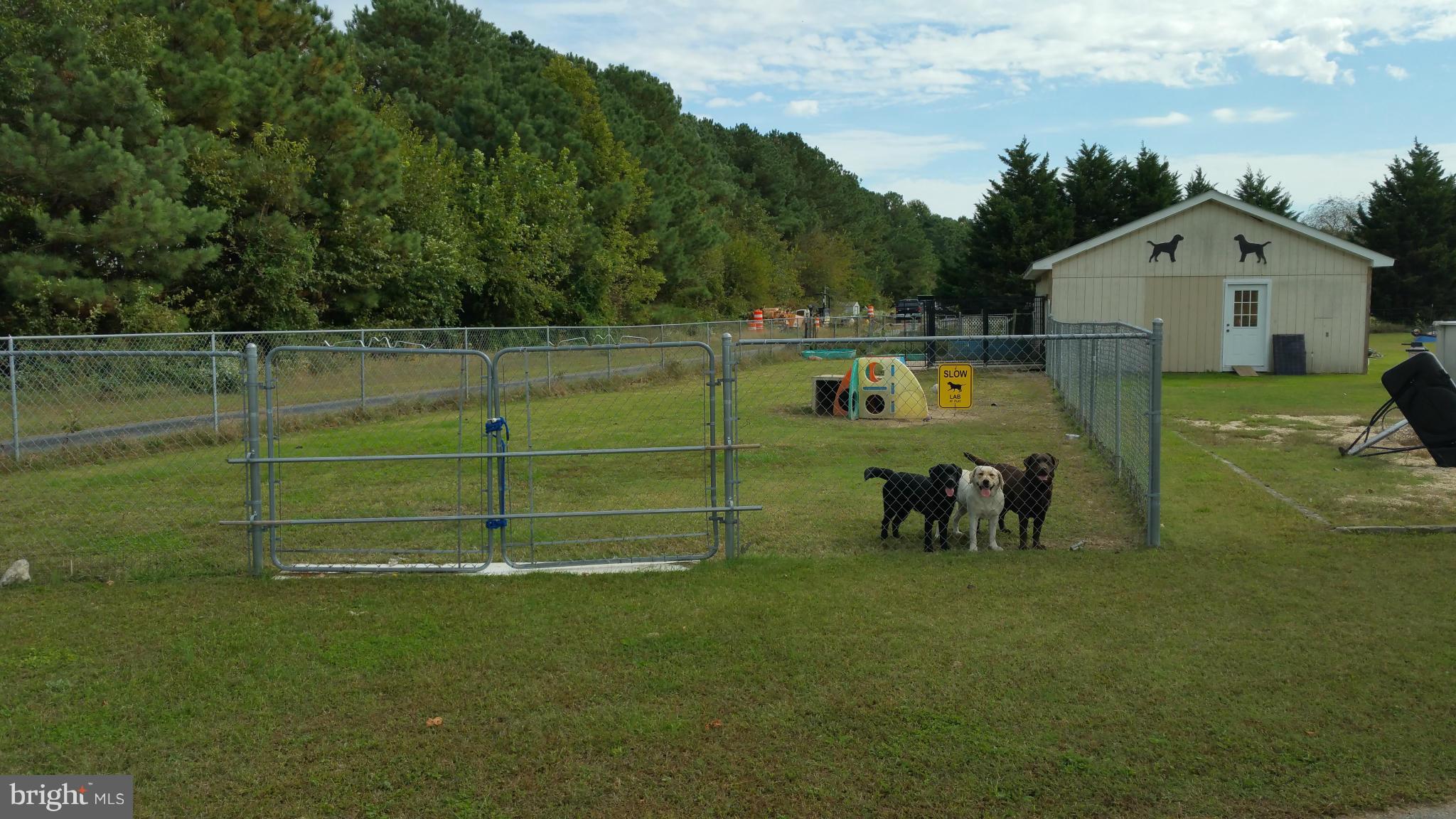 10919 Miller Road Denton, MD 21629 - Photo 23 of 29 Fenced pet area