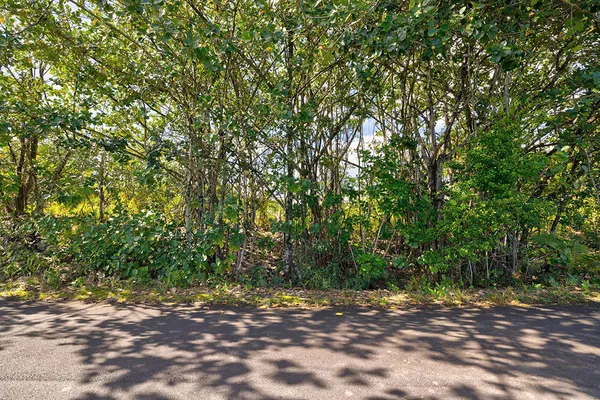 a view of a field with trees in the background