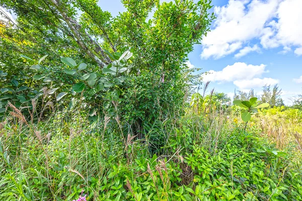 $180,000 | 15-1702 Lot 2924 1st Avenue, Keaau, HI 96749