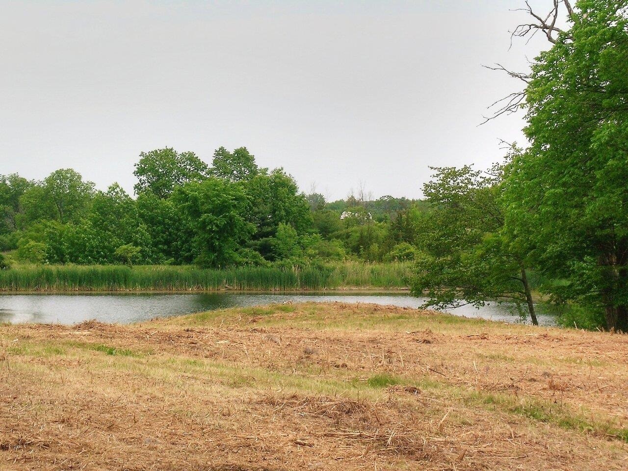 0 South Bingham Street Cornwall, VT 05753 - Photo 11 of 26