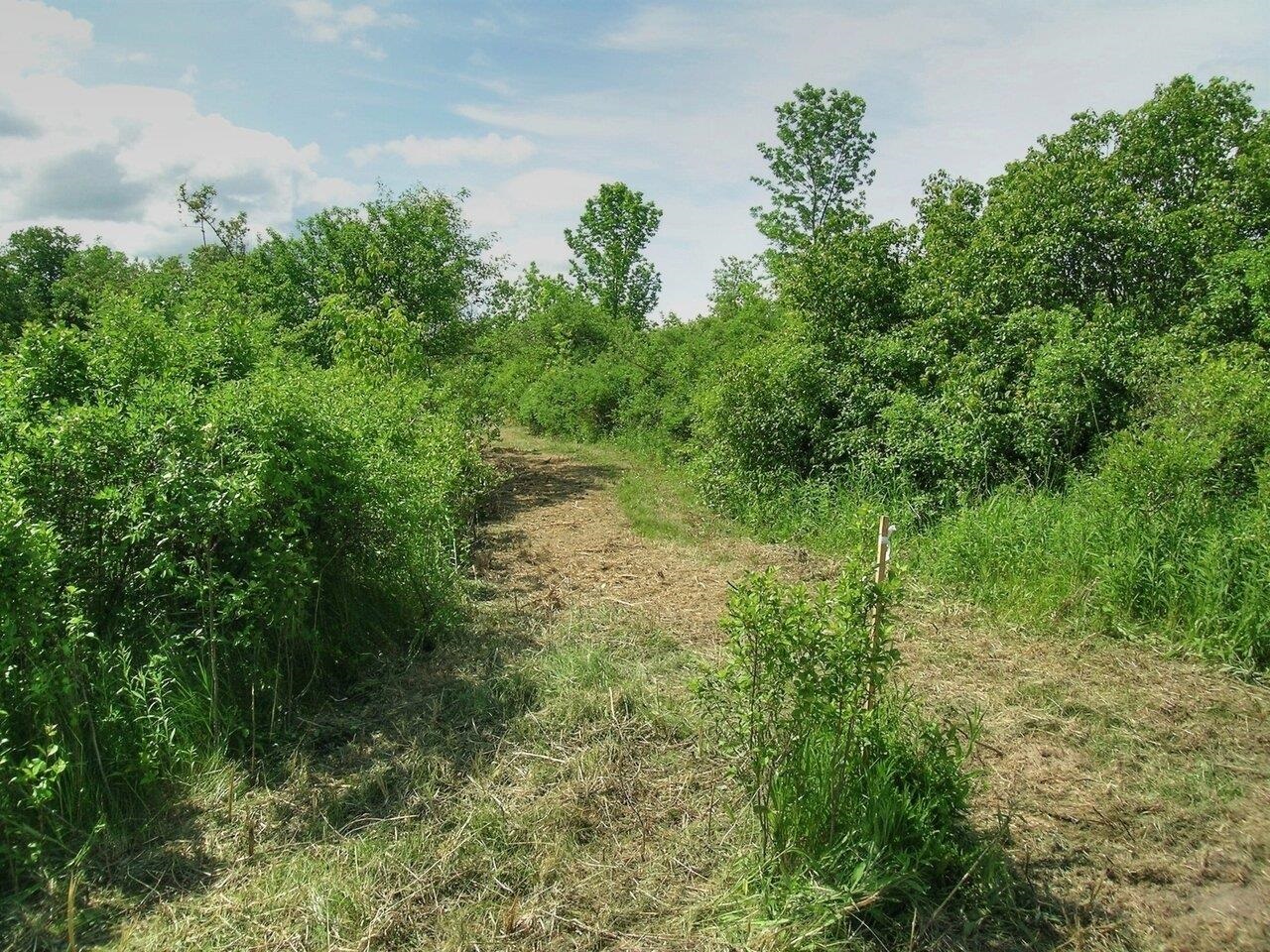 0 South Bingham Street Cornwall, VT 05753 - Photo 16 of 26