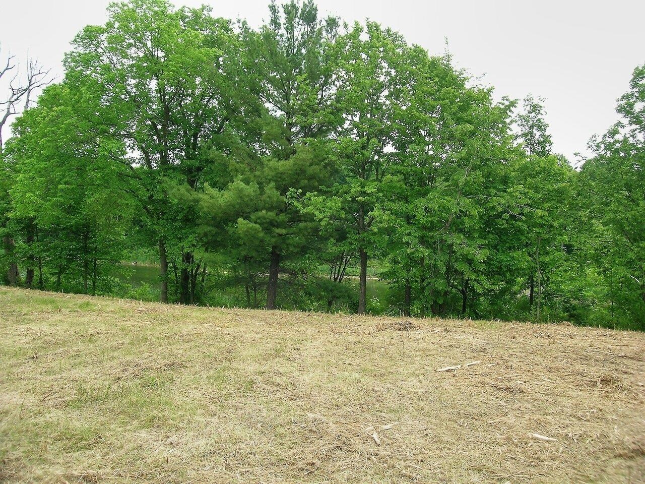 0 South Bingham Street Cornwall, VT 05753 - Photo 19 of 26