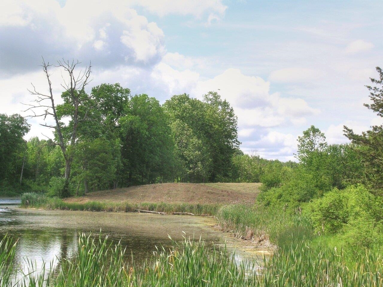 0 South Bingham Street Cornwall, VT 05753 - Photo 20 of 26