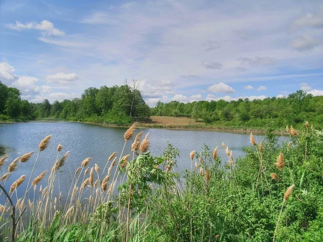 $395,000 | 0 South Bingham Street, Cornwall, VT 05753