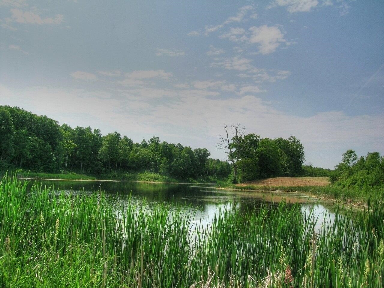 0 South Bingham Street Cornwall, VT 05753 - Photo 22 of 26