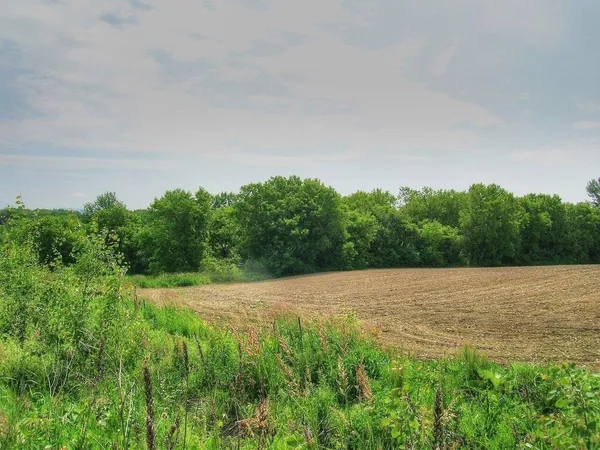 $395,000 | 0 South Bingham Street, Cornwall, VT 05753