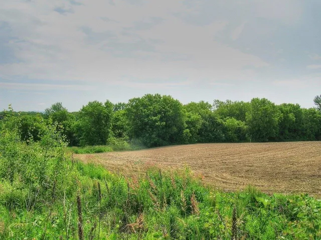 $395,000 | 0 South Bingham Street, Cornwall, VT 05753