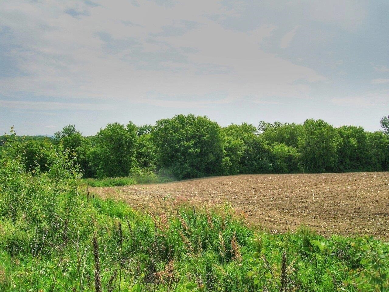 0 South Bingham Street Cornwall, VT 05753 - Photo 4 of 26