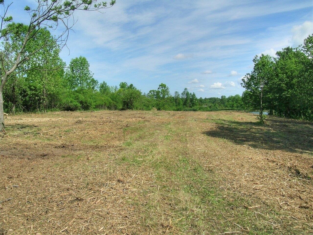 0 South Bingham Street Cornwall, VT 05753 - Photo 9 of 26