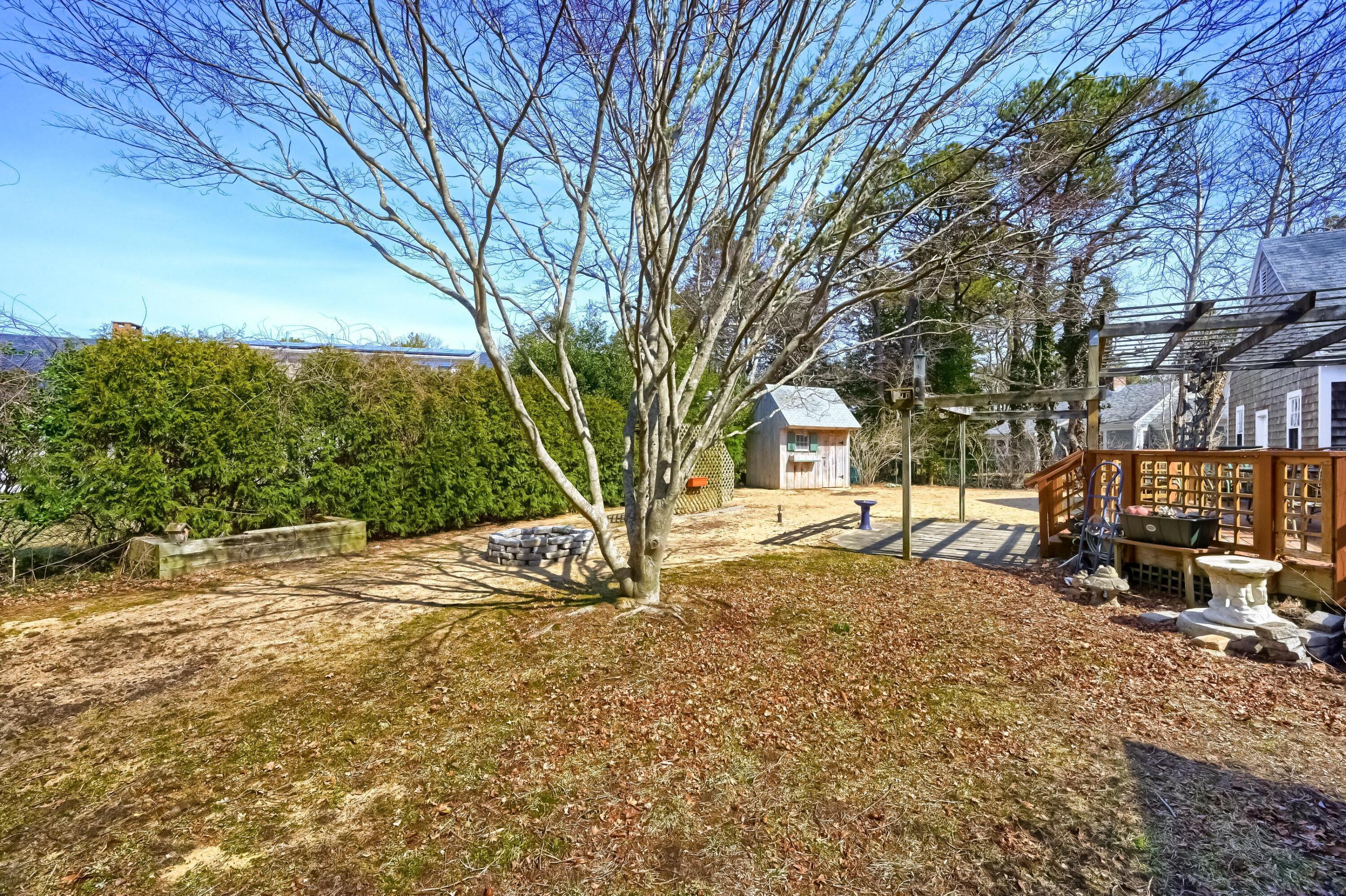 15_Backyard_DSC_6997