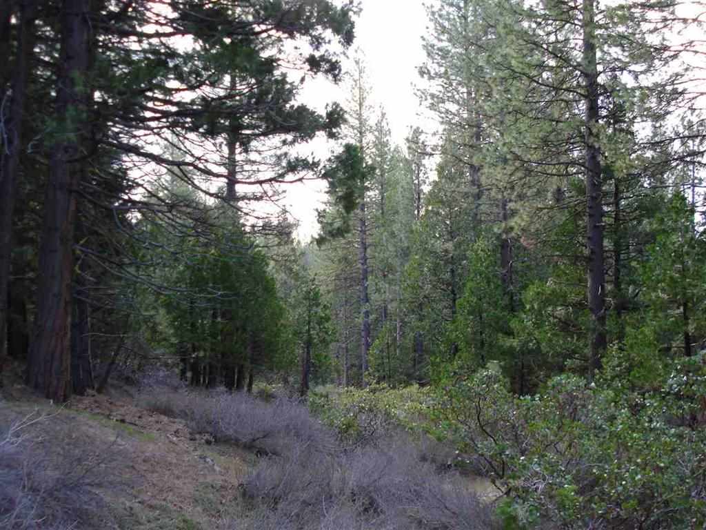 595 C Road Clio, CA 96106 - Photo 2 of 12