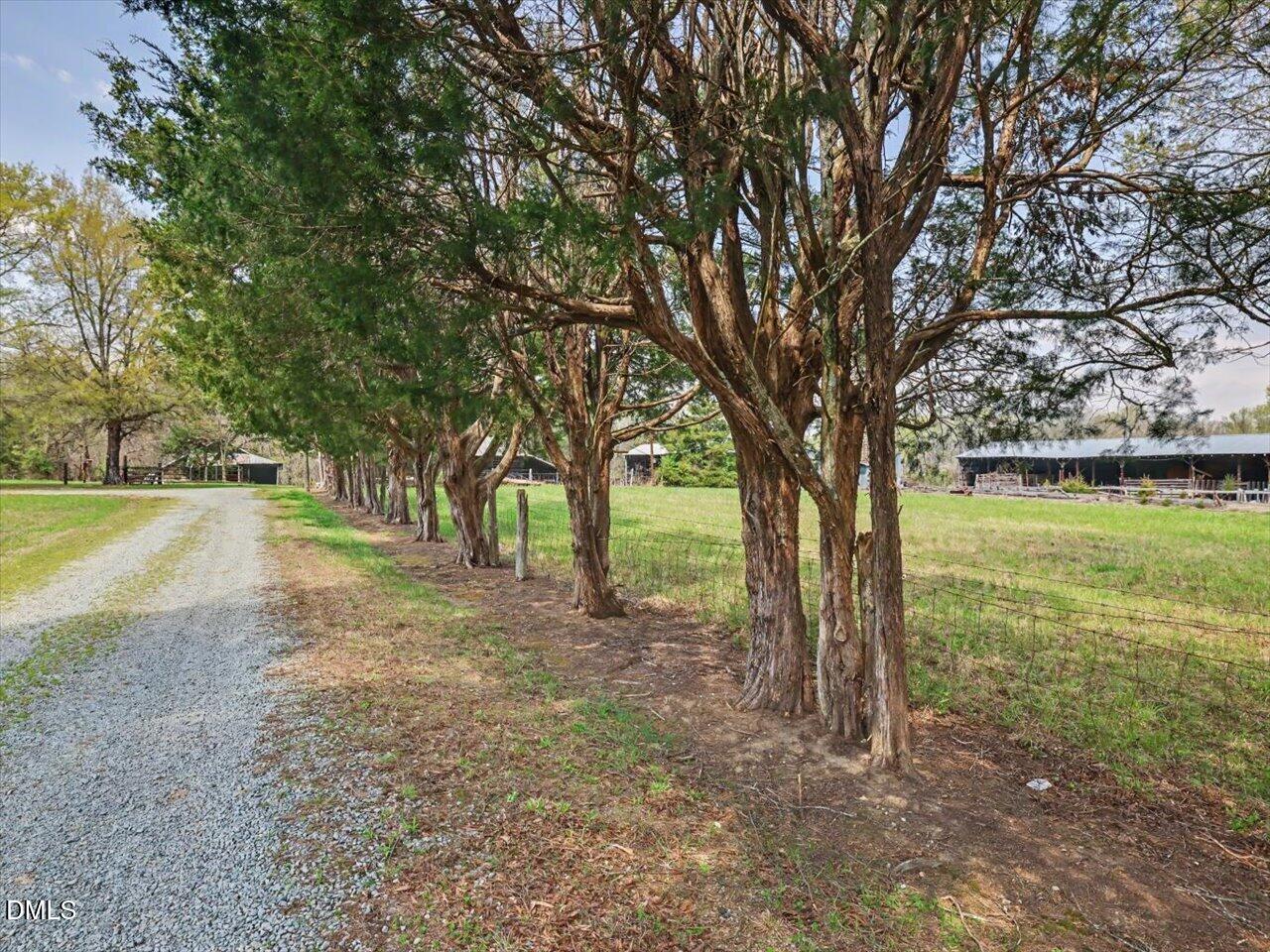7793 Ridgeville Road Leasburg, NC 27291 - Photo 4 of 91