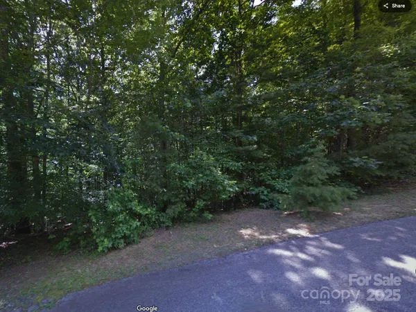 a view of a forest with trees in the background