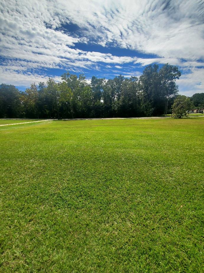 0 Sowell Road Dothan, AL 36301 - Photo 1 of 13